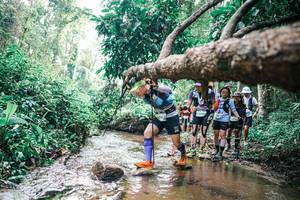 BIB: 
                            <button type="button" onclick="openModal(25374885)" class="btn btn-primary btn-sm float-right btn-popup" data-toggle="modal" data-target=".modal-high-quality">
                        <i class="fas fa-shopping-cart"></i> Add to Cart
                    </button>
                                            <button type="button" onclick="isThisMe(25374885, true)" class="btn btn-success btn-sm float-right btn-popup btn-isme hidden" data-toggle="tooltip" data-placement="bottom" title="นี่คือรูปของคุณใช่ไหม คลิกที่นี่เพื่อเอาเข้าอัลบั้ม">
                        <i class="fas fa-plus"></i> Add to album
                    </button>
                    <button type="button" onclick="isThisMe(25374885, false)" class="btn btn-warning btn-sm float-right btn-popup btn-isnotme hidden">
                        <i class="fas fa-ban"></i> Remove from album
                    </button>